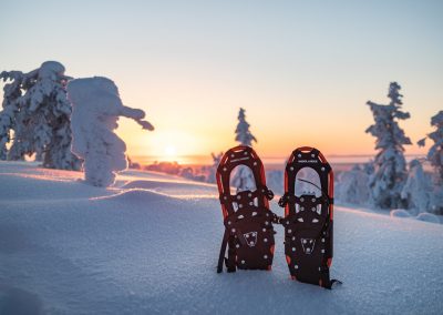 Lumikengät auringon paisteessa