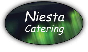 Niestan logo