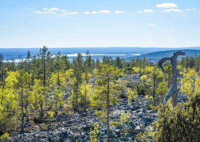 Vaativat päiväretkikohteet