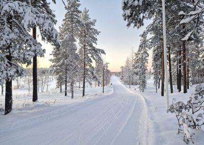 Hiihto ja luistelu