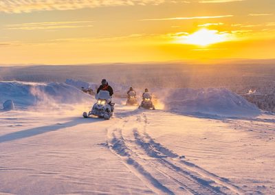 Arctic Wonders