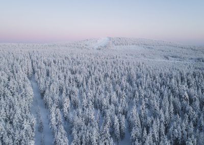 Taika Lapland