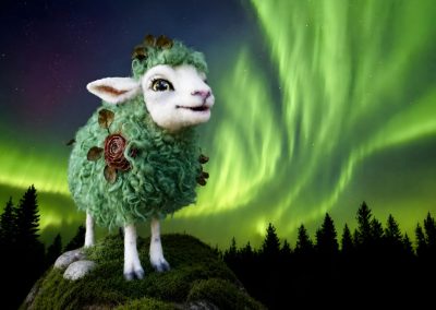 Arctic Wool Experience center